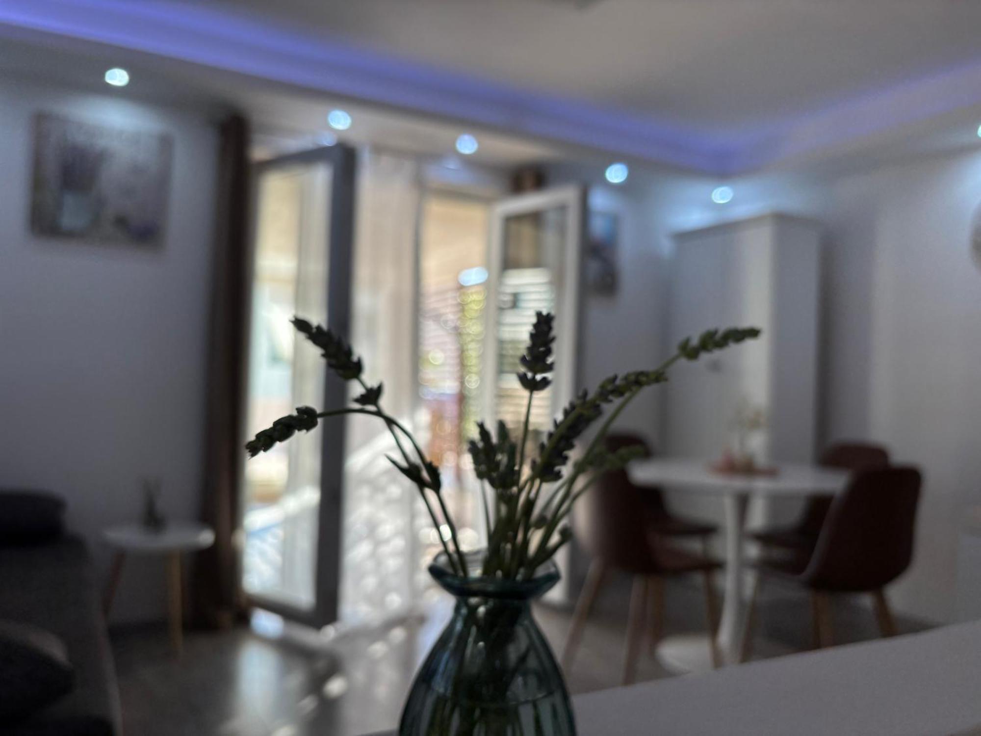Luxury Apartman Nr Šibenik Buitenkant foto